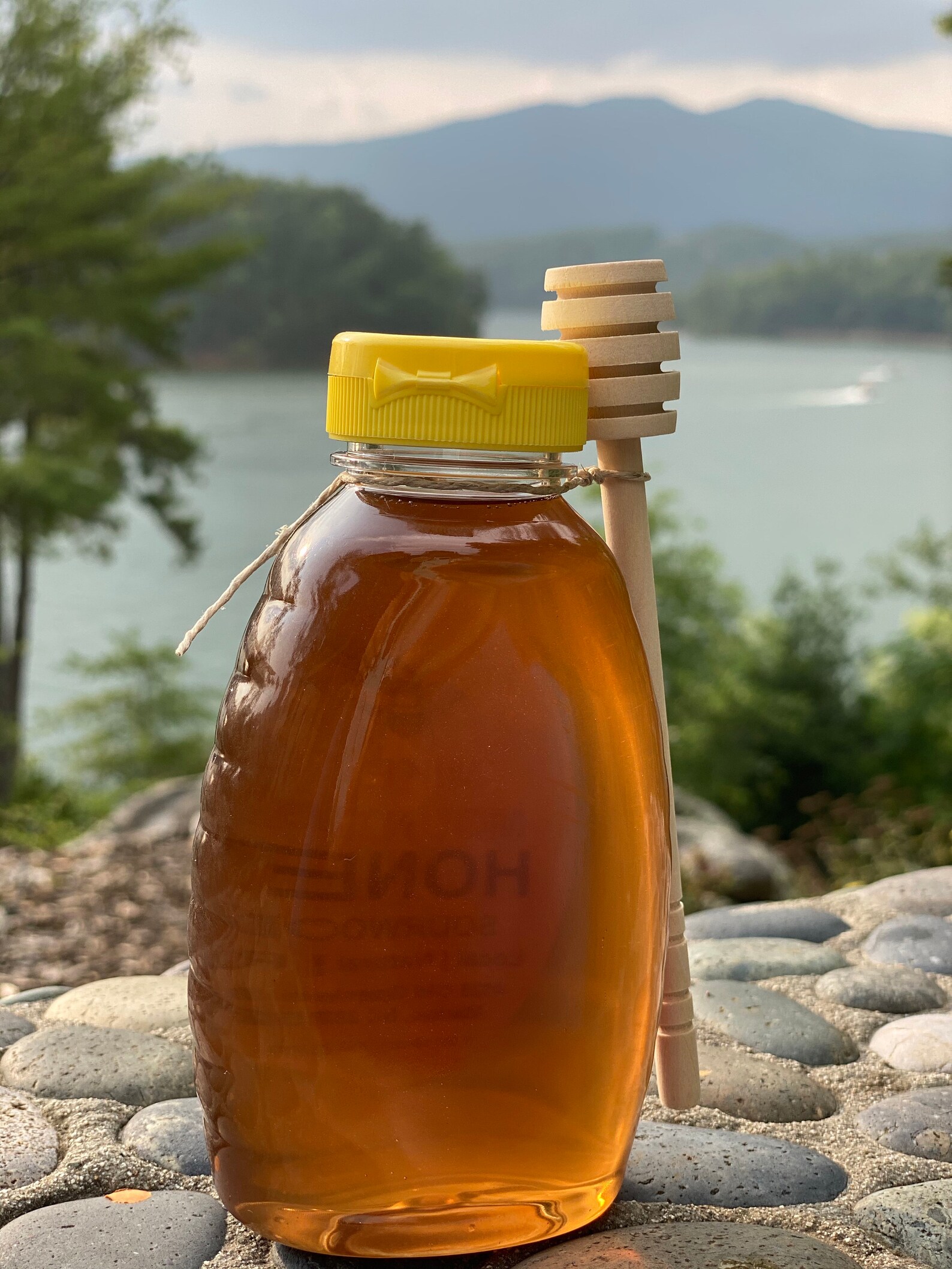 Sourwood Honey 16 Oz Classic Certified Producer Western North Etsy