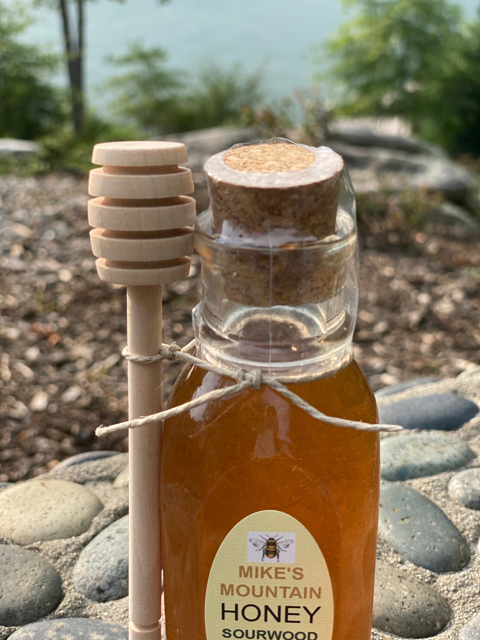 Sourwood Honey Set of 3 4 oz Muth Glass Jars w Sticks Etsy