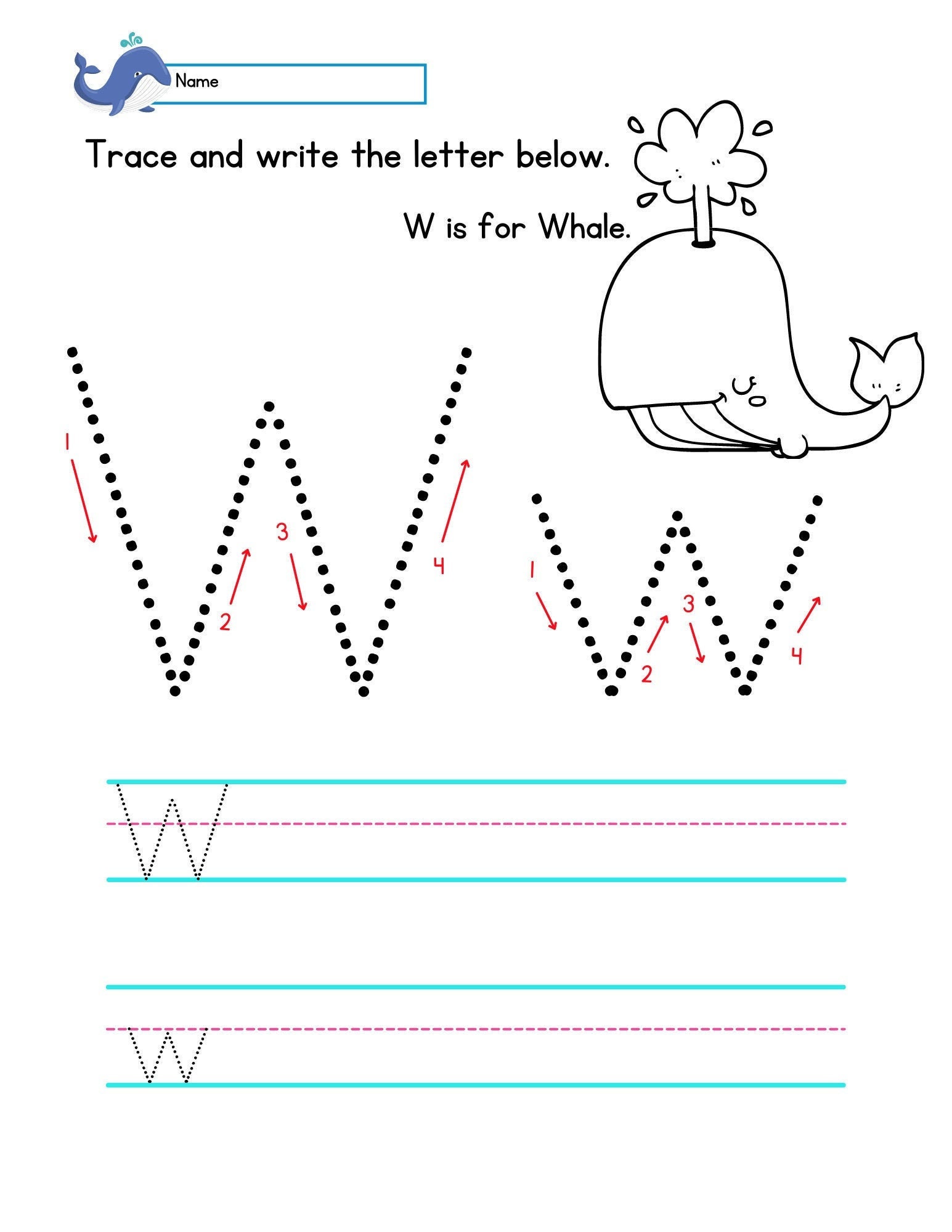 Trace the Letter Ww Worksheet | Etsy