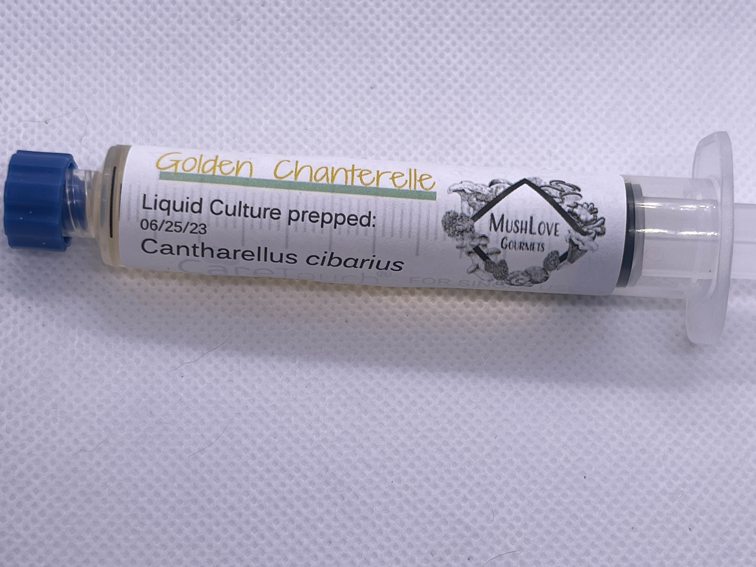 10ml Liquid Culture Golden Chanterelle Etsy UK