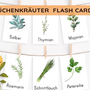 Kitchen Herbs & Medicinal Herbs Montessori Flash Cards Picture Cards PDF Card Set for Printing Children's Learning Cards Herbs Herb Pharmacy German image 1