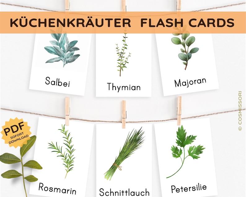May include: A set of 6 printable flash cards featuring watercolour illustrations of common kitchen herbs. The cards include images of rosemary, thyme, sage, parsley, chives, and marjoram. Each card has the name of the herb written in German below the image.
