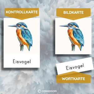 K&ouml;nnte beinhalten: Zwei Karten mit einem Bild eines blauen und orangefarbenen Eisvogels auf einem Ast. Die obere Karte zeigt "Kontrollkarte" und die untere Karte zeigt "Eisvogel". Die zweite Karte zeigt "Bildkarte" oben und "Eisvogel" unten.