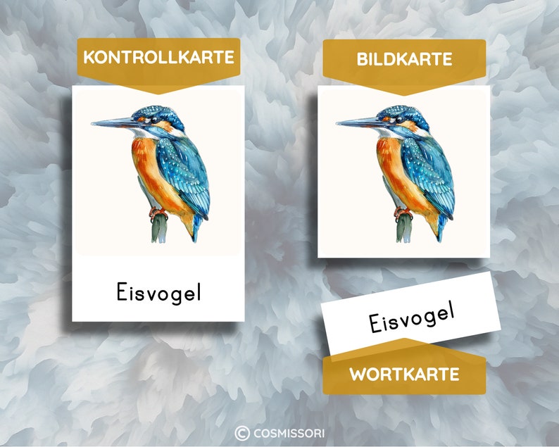 K&ouml;nnte beinhalten: Zwei Karten mit einem Bild eines blauen und orangefarbenen Eisvogels auf einem Ast. Die obere Karte zeigt "Kontrollkarte" und die untere Karte zeigt "Eisvogel". Die zweite Karte zeigt "Bildkarte" oben und "Eisvogel" unten.