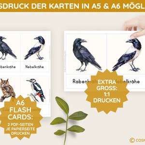 K&ouml;nnte beinhalten: Ein Satz druckbarer Flashcards mit Illustrationen von V&ouml;geln. Die Karten enthalten Bilder von einem Raben, einer Nebelkr&auml;he, einem Eulen und einem Specht. Der Text auf den Karten lautet "A6 FLASH CARDS: 2 PDF-SEITEN JE PAPIERSEITE DRUCKEN" und "EXTRA GROSS: 1:1 DRUCKEN".