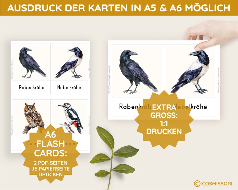 K&ouml;nnte beinhalten: Ein Satz druckbarer Flashcards mit Illustrationen von V&ouml;geln. Die Karten enthalten Bilder von einem Raben, einer Nebelkr&auml;he, einem Eulen und einem Specht. Der Text auf den Karten lautet "A6 FLASH CARDS: 2 PDF-SEITEN JE PAPIERSEITE DRUCKEN" und "EXTRA GROSS: 1:1 DRUCKEN".