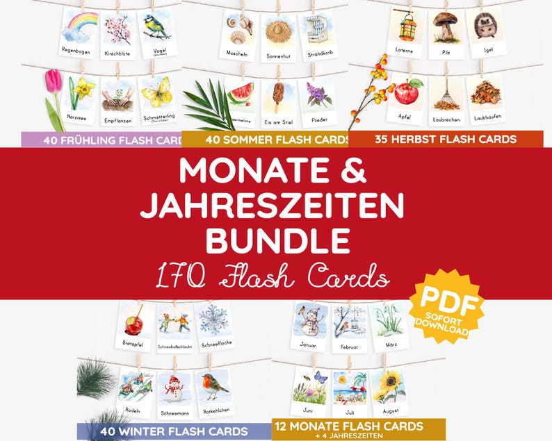 PICTURE CARDS BUNDLE 4 SEASONS Months Montessori Flash Cards Flash