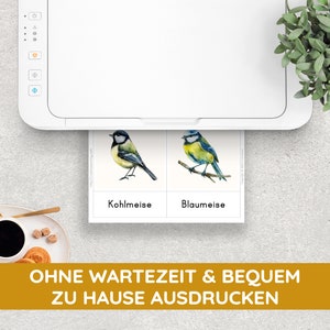 K&ouml;nnte beinhalten: Ein wei&szlig;er Drucker mit zwei Karten, die mit Aquarell-Illustrationen von V&ouml;geln bedruckt sind. Die Karten sind mit "Kohlmeise" und "Blaumeise" beschriftet. Der Text unter den Karten lautet "OHNE WARTEZEIT & BEQUEM ZU HAUSE AUSDRUCKEN".