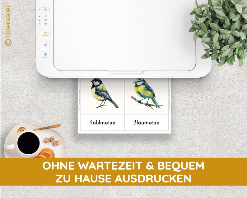 K&ouml;nnte beinhalten: Ein wei&szlig;er Drucker mit zwei Karten, die mit Aquarell-Illustrationen von V&ouml;geln bedruckt sind. Die Karten sind mit "Kohlmeise" und "Blaumeise" beschriftet. Der Text unter den Karten lautet "OHNE WARTEZEIT & BEQUEM ZU HAUSE AUSDRUCKEN".