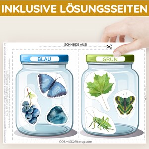 12 Farben Sortierspiel Schätze der Natur Montessori Sortiergläser DIY Spiel PDF Vorlage zum Ausdrucken Kleinkind Geschenk Kind Kindergarten Bild 5
