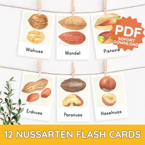 12 TYPES DE NOIX NOIX Cartes d'images Montessori Modèle de carte d'apprentissage PDF à imprimer Enfant Tout-petit Bébé Garderie Décoration Vocabulaire Nomenclature Carte Aquarelle