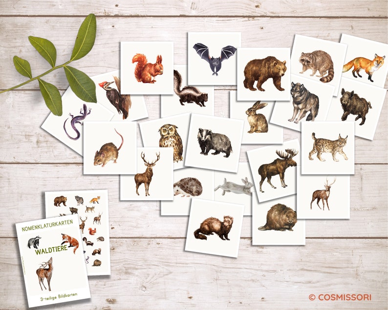 FOREST ANIMALS Montessori Watercolor Picture Cards Learning Cards Cards ...