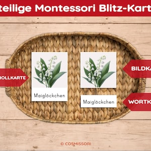 K&ouml;nnte beinhalten: Drei-teilige Montessori Blitz-Karten mit einem Bild von Maigl&ouml;ckchen, dem Wort "Maigl&ouml;ckchen" und einer Kontrollkarte mit der Aufschrift "Kontrollkarte".