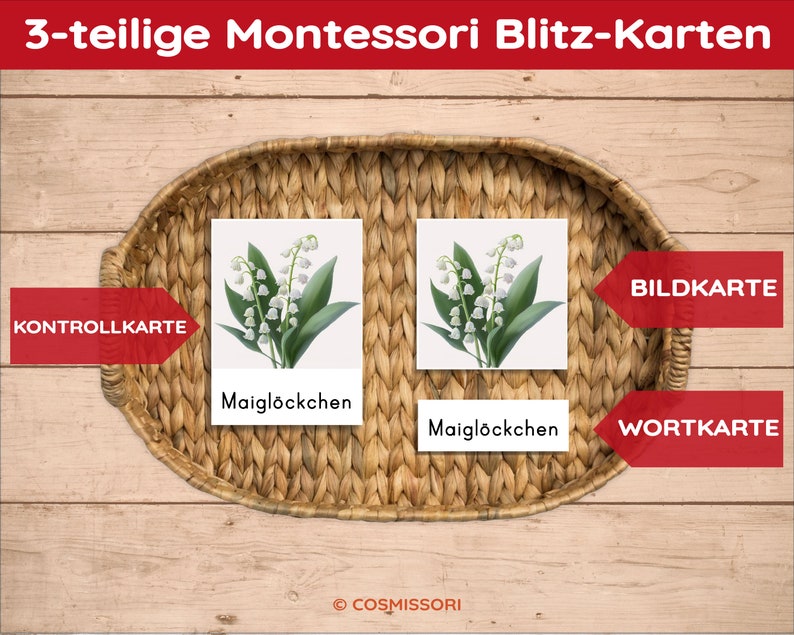 K&ouml;nnte beinhalten: Drei-teilige Montessori Blitz-Karten mit einem Bild von Maigl&ouml;ckchen, dem Wort "Maigl&ouml;ckchen" und einer Kontrollkarte mit der Aufschrift "Kontrollkarte".