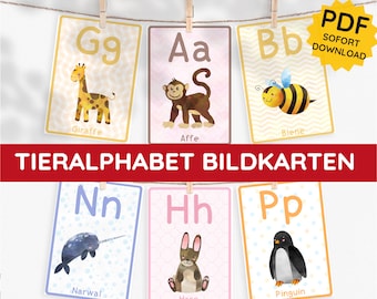 Può includere: Un set di sei flash card dell'alfabeto colorate con animali. Ogni carta ha una lettera grande, un'immagine di un animale e il nome dell'animale in tedesco. Gli animali includono una giraffa, una scimmia, un'ape, un narvalo, un coniglio e un pinguino.