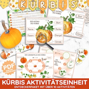 May include: A printable educational activity pack for kids about pumpkins. The pack includes a colorful illustration of a pumpkin, a diagram of the parts of a pumpkin, and a life cycle chart. The text on the page is in German.