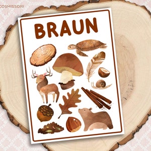 May include: A brown color learning chart with the word "BRAUN" at the top. The chart features various brown colored objects such as a deer, mushroom, turtle, acorn, cinnamon sticks, and a bear.