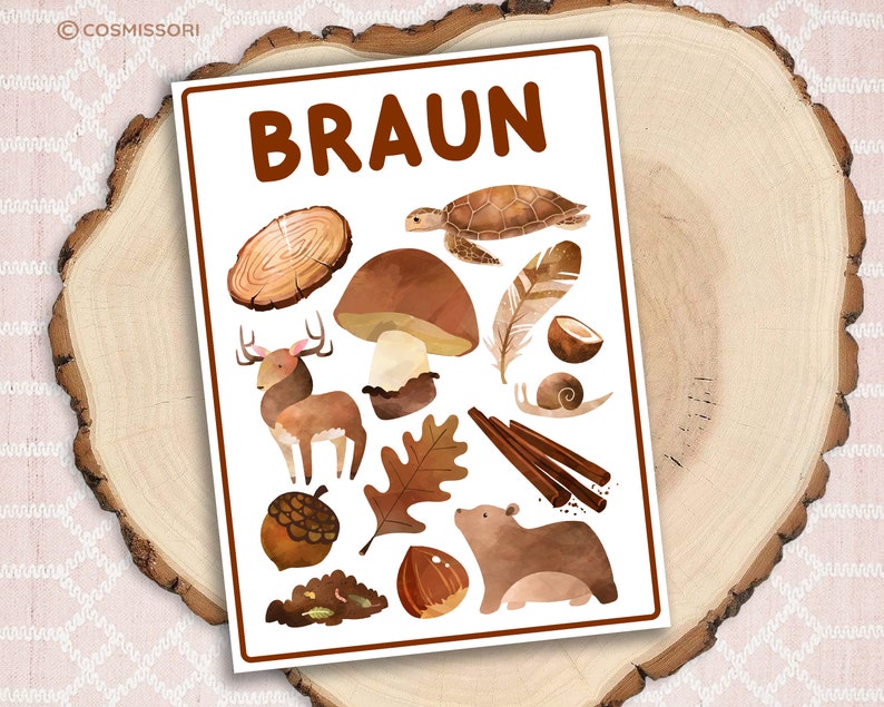 May include: A brown color learning chart with the word "BRAUN" at the top. The chart features various brown colored objects such as a deer, mushroom, turtle, acorn, cinnamon sticks, and a bear.
