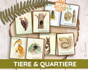 Animali e appartamenti Cartoline illustrate Gioco di smistamento Montessori Casa nido Gioco di apprendimento per bambini PDF Giocattolo fai da te Asilo Kita Gioco di piastrellatura Tedesco