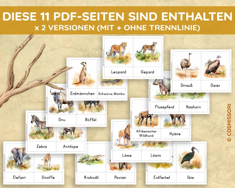 May include: A collection of illustrated flashcards featuring African animals, including a leopard, zebra, and elephant. The cards have German text at the top, with the animal names in both English and German. The background is a tan color.