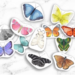 K&ouml;nnte beinhalten: Ein Set mit 11 bunten Schmetterlingsaufklebern mit verschiedenen Fl&uuml;gelmustern und Farben, darunter Blau, Gr&uuml;n, Gelb, Orange, Pink und Schwarz. Die Aufkleber sind perfekt, um Notizb&uuml;chern, Laptops oder anderen Oberfl&auml;chen einen Hauch von Verspieltheit zu verleihen.