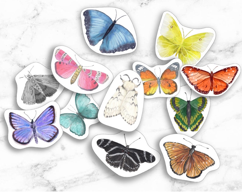 K&ouml;nnte beinhalten: Ein Set mit 11 bunten Schmetterlingsaufklebern mit verschiedenen Fl&uuml;gelmustern und Farben, darunter Blau, Gr&uuml;n, Gelb, Orange, Pink und Schwarz. Die Aufkleber sind perfekt, um Notizb&uuml;chern, Laptops oder anderen Oberfl&auml;chen einen Hauch von Verspieltheit zu verleihen.