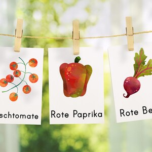 May include: Three watercolor illustrations of vegetables hanging on a clothesline. The first illustration is of cherry tomatoes on a vine. The second illustration is of a red bell pepper. The third illustration is of a red beet. The text below each illustration reads "Kirschtomaten", "Rote Paprika", and "Rote Beete".