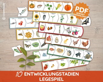 LEBENSZYKLUS Phasen Bildkarten Montessori Lernspiel Lebenskreis Sortierspiel Kleinkind Legespiel PDF DIY Spielzeug Kindergarten Kita Deutsch