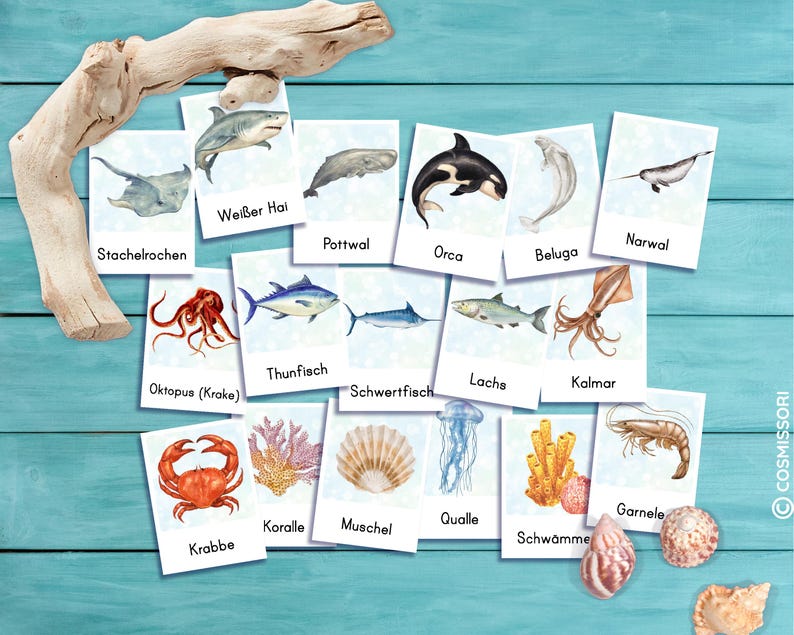 36 Sea Animals Montessori Picture Cards Learning Cards Ocean Animals ...