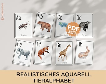 Può includere: Un set di otto flashcard colorate con illustrazioni ad acquerello di animali e le loro corrispondenti lettere dell'alfabeto tedesco. Le lettere sono in maiuscolo e gli animali sono: formica, orso, camaleonte, tasso, elefante, volpe, giraffa e lepre.