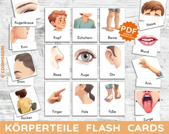 Körperteile Erste Anamtomie Montessori Bildkarten Lernkarte Gliedmaßen Sinne Gesicht PDF Kartensatz zum Ausdrucken Kind Kita Kleinkind Baby