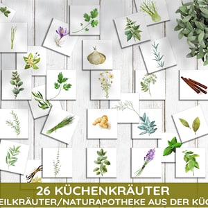 Kitchen Herbs & Medicinal Herbs Montessori Flash Cards Picture Cards PDF Card Set for Printing Children's Learning Cards Herbs Herb Pharmacy German image 2