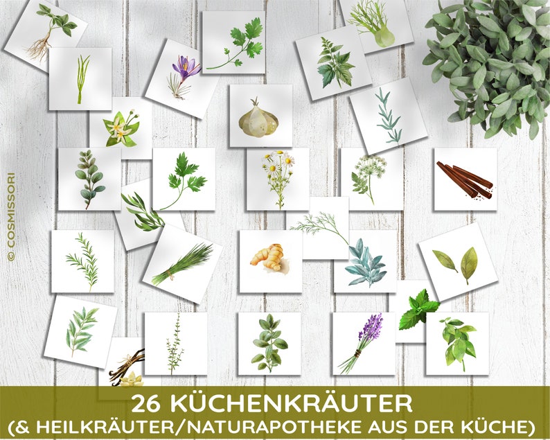 May include: A set of 26 illustrated cards featuring various herbs and spices. The cards are white with green and brown illustrations of common culinary herbs and spices. The text on the cards reads "26 K&uuml;chenkr&auml;uter (& Heilkr&auml;uter/NaturApotheke aus der K&uuml;che)"