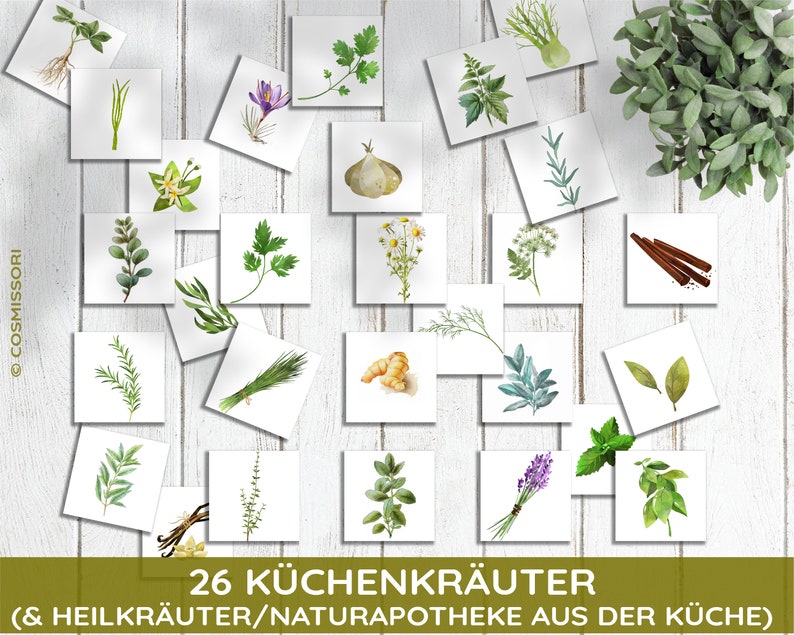 Kitchen Herbs & Medicinal Herbs Montessori Flash Cards Picture Cards PDF Card Set for Printing Children's Learning Cards Herbs Herb Pharmacy German image 2