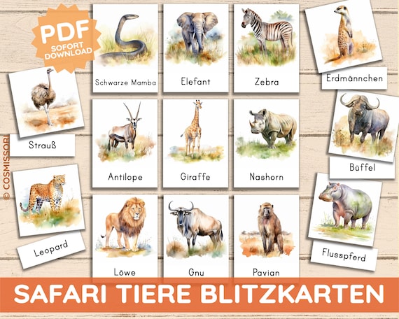 PDF realistische Tiere Savanne Safari Afrika Montessori Lernkarten Flash Cards dreiteilig Kleinkind Bilderbuch Nomenklaturkarten deutsch DIY