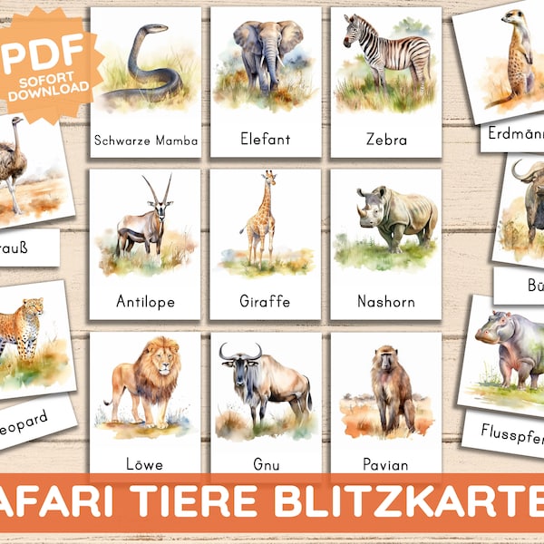 PDF realistische Tiere Savanne Safari Afrika Montessori Lernkarten Flash Cards dreiteilig Kleinkind Bilderbuch Nomenklaturkarten deutsch DIY