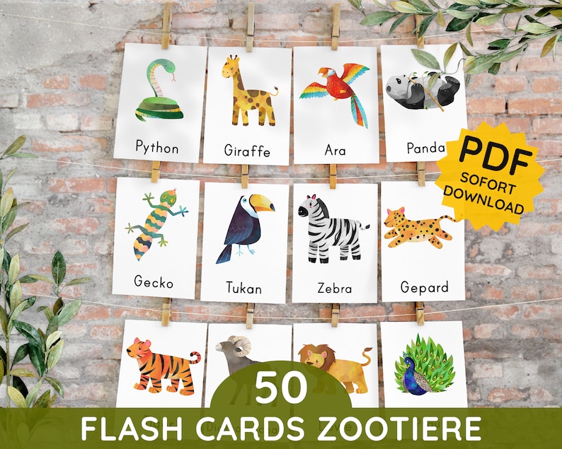 50 Zoo Animals Flash Cards Montessori Watercolor Picture Cards Three ...