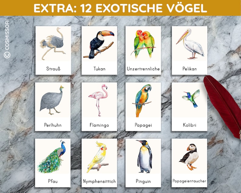 K&ouml;nnte beinhalten: Ein Set mit 12 illustrierten Karten, die verschiedene exotische V&ouml;gel zeigen. Jede Karte hat eine Aquarell-Illustration eines Vogels mit seinem Namen darunter in deutscher Sprache. Die V&ouml;gel sind: Strau&szlig;, Tukan, Unzertrennliche, Pelikan, Perlhuhn, Flamingo, Papagei, Kolibri, Pfau, Nymphensittich, Pinguin und Papageientaucher.