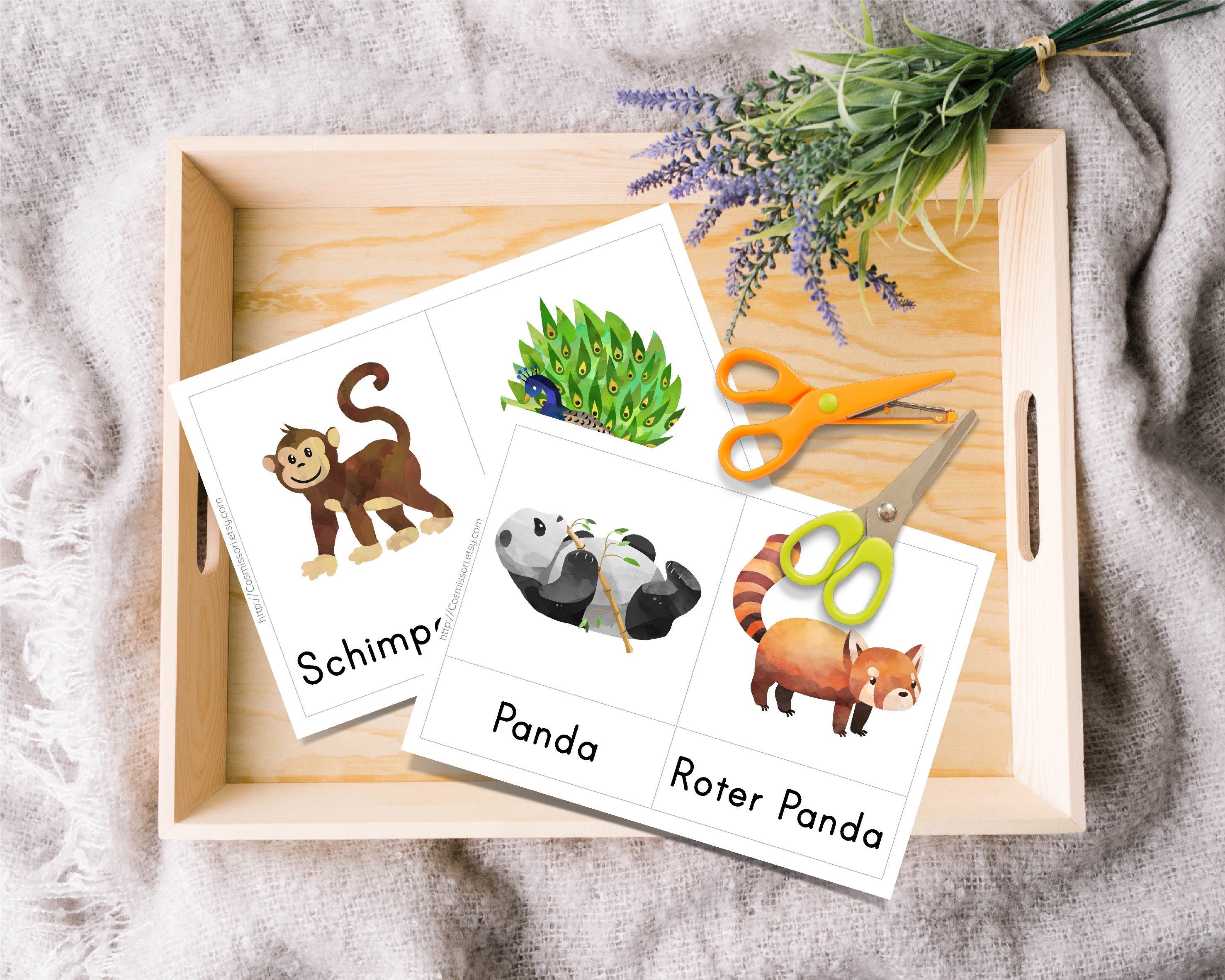 50 Zoo Animals Flash Cards Montessori Watercolor Picture Cards Three ...