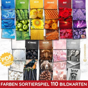 110 fotokaarten 11 kleuren echte foto sorteerspel Montessori peuter leerspel PDF sjabloon DIY speelgoed kleuterschool baby kind Duits