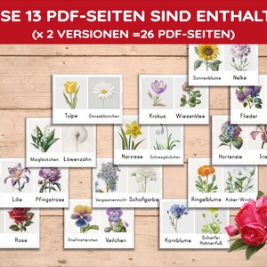 K&ouml;nnte beinhalten: Ein Satz von 13 illustrierten Karten mit verschiedenen Blumenarten, jede mit ihrem deutschen Namen. Die Karten sind in einem Raster auf einem Holzgrund angeordnet. Der Text "DIESE 13 PDF-SEITEN SIND ENTHALTEN (x 2 VERSIONEN =26 PDF-SEITEN)" befindet sich oben im Bild.