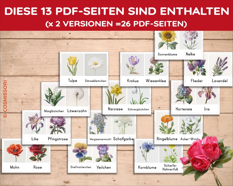 K&ouml;nnte beinhalten: Ein Satz von 13 illustrierten Karten mit verschiedenen Blumenarten, jede mit ihrem deutschen Namen. Die Karten sind in einem Raster auf einem Holzgrund angeordnet. Der Text "DIESE 13 PDF-SEITEN SIND ENTHALTEN (x 2 VERSIONEN =26 PDF-SEITEN)" befindet sich oben im Bild.