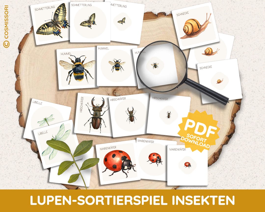 Insects Picture Cards in 3 Sizes Find Montessori Activity PDF Game ...