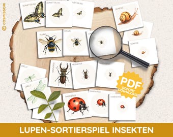 May include: A set of 12 printable cards featuring illustrations of various insects, including a butterfly, ladybug, snail, dragonfly, and bee. The cards are labelled with the German names for each insect. The cards are designed for a sorting game for children.