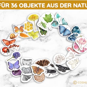 12 Farben Sortierspiel Schätze der Natur Montessori Sortiergläser DIY Spiel PDF Vorlage zum Ausdrucken Kleinkind Geschenk Kind Kindergarten Bild 4