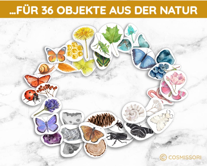 12 Farben Sortierspiel Schätze der Natur Montessori Sortiergläser DIY Spiel PDF Vorlage zum Ausdrucken Kleinkind Geschenk Kind Kindergarten Bild 4