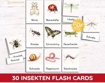 INSECTS realistic watercolor flash cards Montessori picture cards microcosm garden forest child kindergarten child PDF card set German print