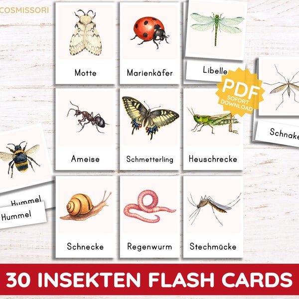 INSEKTEN realistische Aquarell Flash Cards Montessori Bildkarten Mikrokosmos Garten Wald Kind Kindergartenkind PDF Kartensatz deutsch Druck