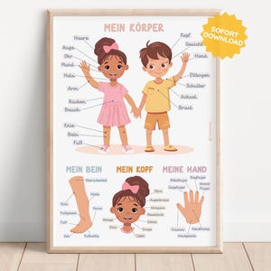 Körperteile Erste Anatomie Poster Montessori Wandkunst Spielzimmer Kind Baby Kinderzimmer All Wandbild Wanddeko Infografik Infogramm Bild