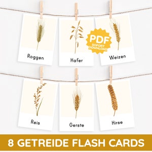 GRANEN Montessori prentkaarten soorten granen aquarel leerkaarten kaart PDF sjabloon afdrukbaar kind Duits peuter woordenschat
